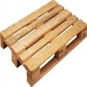 Pallet gỗ thông Euro
